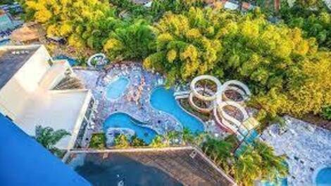 Resort Golden Dolphin Grand Hotel - 517