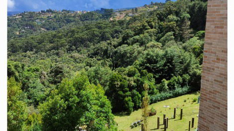 Quintal vista do prédio 