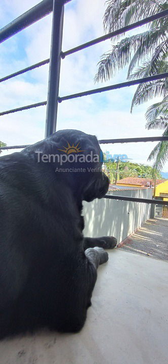 Casa para aluguel de temporada em Bertioga (Praia do Indaiá)