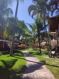 Excellent cond. 30 mts from mundai beach, before toa toa beach