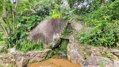 Cachoeira água natural