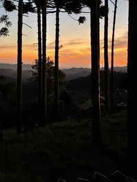 DREAM REFUGE - HOUSES IN THE MOUNTAINS OF MONTE VERDE