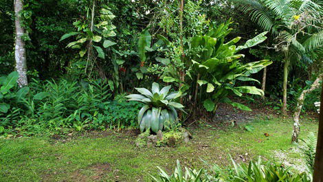 Casa de praia com um jardim aconchegante dentro da mata atlântica