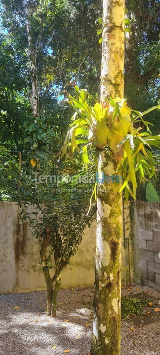 Casa para aluguel de temporada em São Sebastião (Sertão do Camburi)