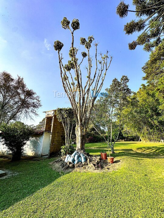 Granja para alquiler de vacaciones em Biritiba Mirim (Sertãozinho)