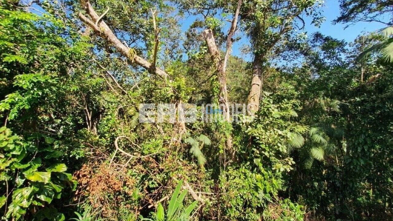 Casa para aluguel de temporada em Ubatuba (Felix)