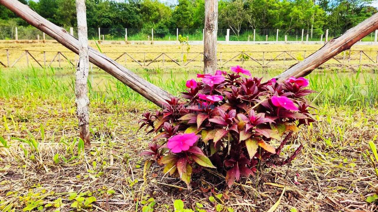 Ranch for vacation rental in Suzano (Vila Ipelandia)