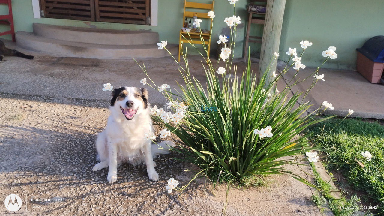 Ranch for vacation rental in São Luiz do Paraitinga (Barra de Cima)