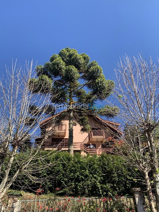 Casa para aluguel de temporada em Campos do Jordão (Alto do Capivari)