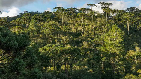 Linda residência em Campos do Jordão-SP