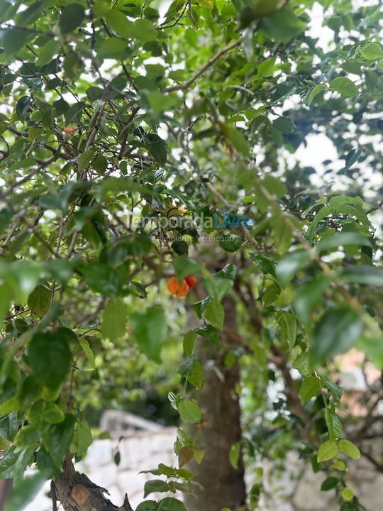 Casa para aluguel de temporada em Camaçari (Barra do Jacuípe)