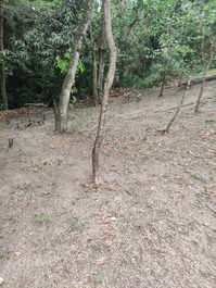 Rancho a orillas del río Mogi Guaçu Leme sp en condominio cerrado...