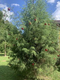 Granja en Ibiuña