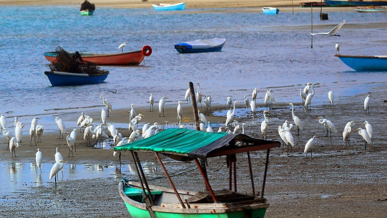 Casa para aluguel de temporada em Salinas da Margarida (Praia do Araçá)