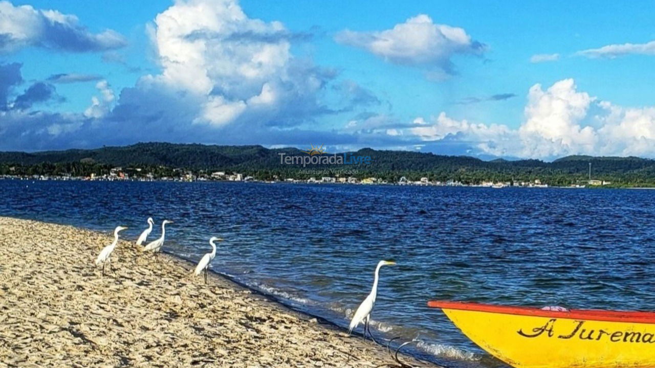 Casa para aluguel de temporada em Salinas da Margarida (Praia do Araçá)