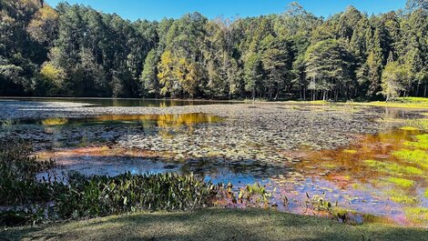 Chalé do Lago em Campos do Jordão