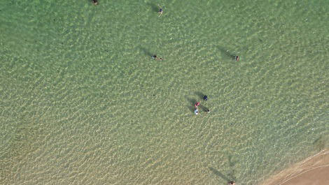 GUARAJUBA in front of the beach "Feet in the Sand"