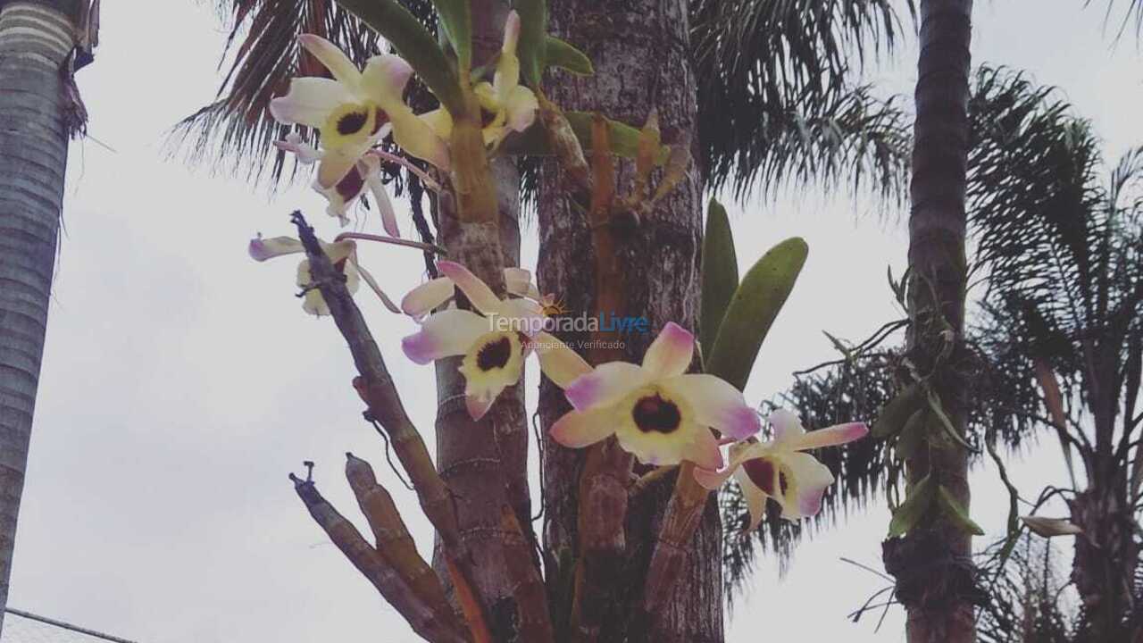 Chácara / sítio para aluguel de temporada em Poços de Caldas (Morada dos Passaros)