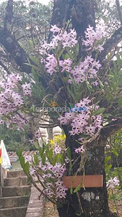 Chácara / sítio para aluguel de temporada em Poços de Caldas (Morada dos Passaros)