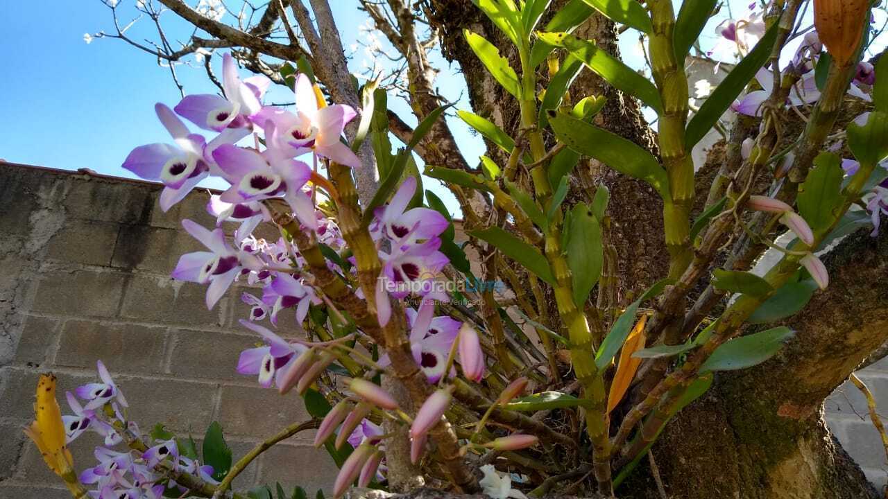 Chácara / sítio para aluguel de temporada em Poços de Caldas (Morada dos Passaros)