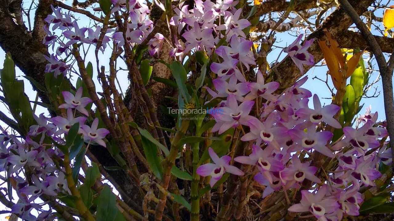 Chácara / sítio para aluguel de temporada em Poços de Caldas (Morada dos Passaros)