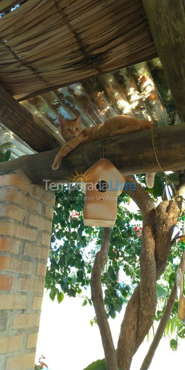 Casa para aluguel de temporada em Bombinhas (Mariscal)