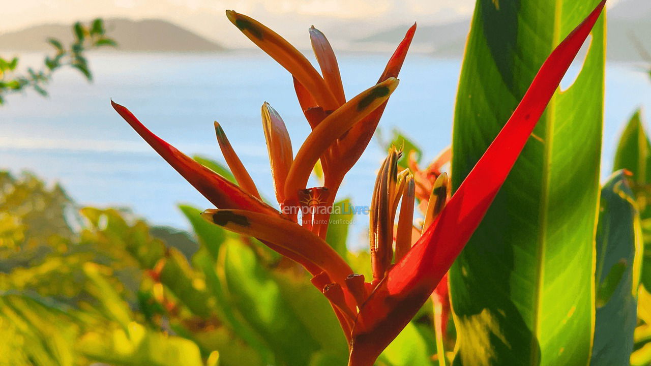 Casa para alquiler de vacaciones em Ilhabela (Veloso)