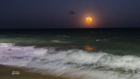 Each of the moon's feet in the sand