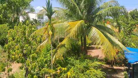 Acogedor apto cerca de la playa de Taquary Guaibim, amueblado para 4 personas.