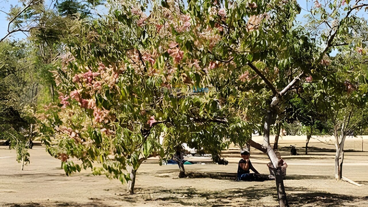 Apartamento para aluguel de temporada em Brasília (Setor Sudoeste)