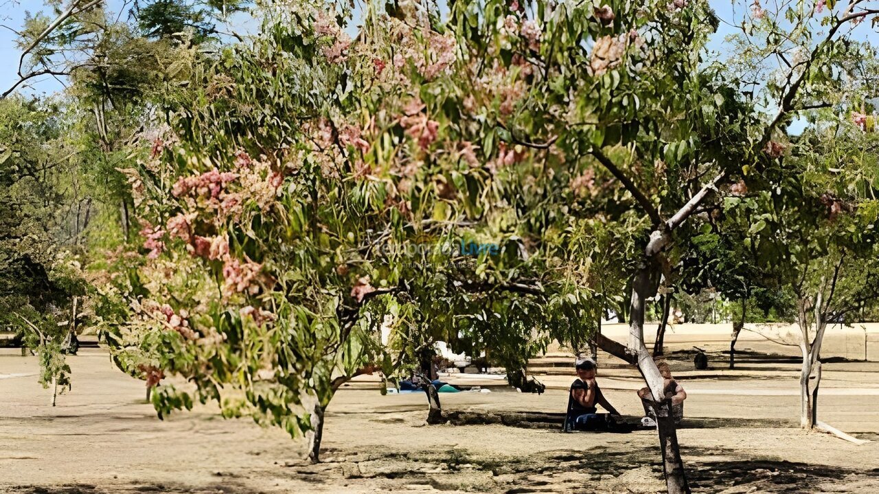 Apartamento para aluguel de temporada em Brasília (Setor Sudoeste)