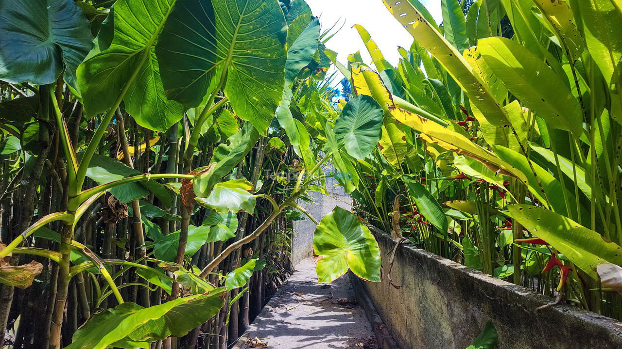 Granja para alquiler de vacaciones em Ilhéus (Praia dos Coqueiros)