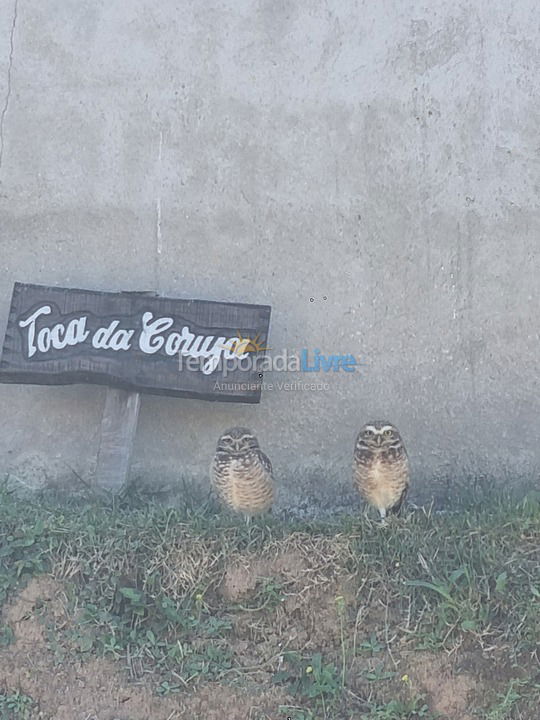 Casa para aluguel de temporada em São Roque (Pavão)