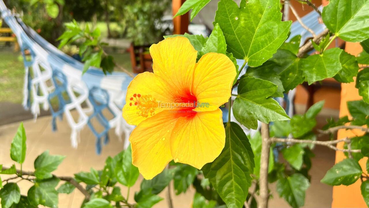 Chácara / sítio para aluguel de temporada em Ilhéus (Praia do Sargi)