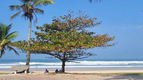 Praia da enseada