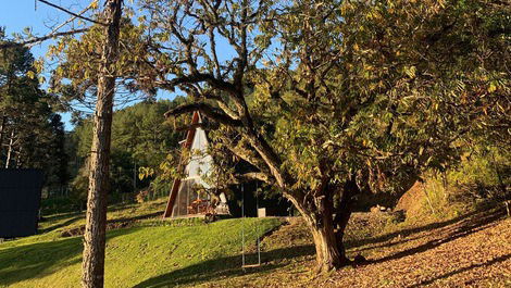 Cabin in the countryside of Gramado