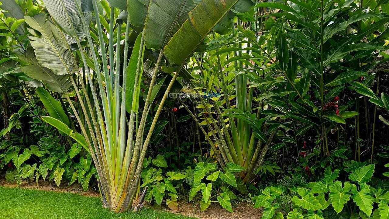 House for vacation rental in São Sebastião (Juquehy)