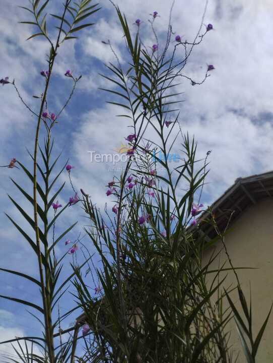 House for vacation rental in Ubatuba (Pereque Açu)