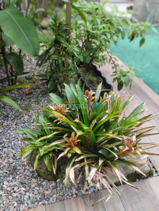 House for vacation rental in Ubatuba (Pereque Açu)