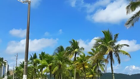 Apartamento en Praia Grande - SP