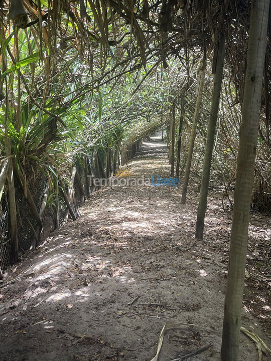 Casa para aluguel de temporada em Maraú (Taipu de Fora)