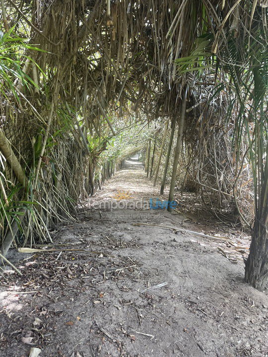 Casa para aluguel de temporada em Maraú (Taipu de Fora)