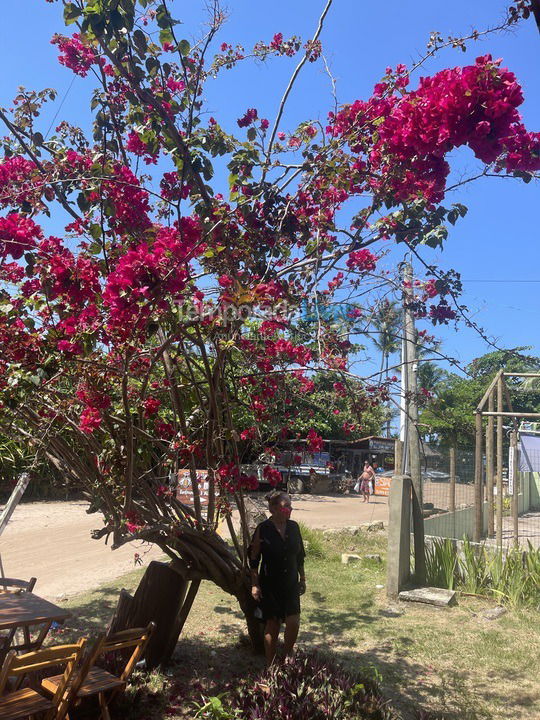 Casa para aluguel de temporada em Maraú (Taipu de Fora)