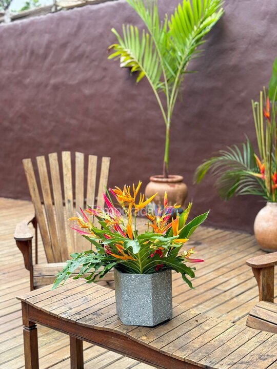 House for vacation rental in Trancoso (Trancoso)