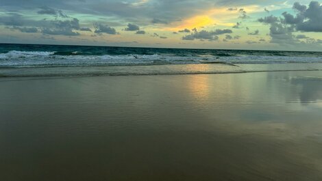 Garden Coupe #315 - Porto de Galinhas by Carpediem