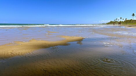 Garden Coupe #315 - Porto de Galinhas by Carpediem