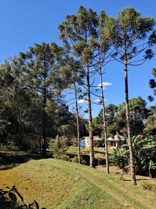 Casa para aluguel de temporada em Piquete (Meia Lua)