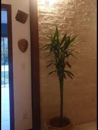 Bella House 100 m from the Lagoon with Swimming Pool - SEASON RENTAL