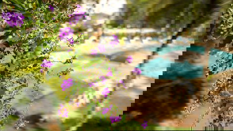 Natureza preservada 