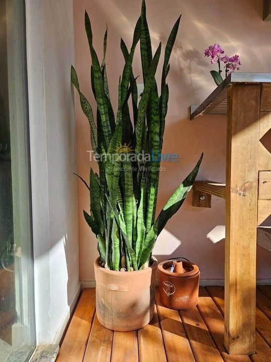 House for vacation rental in Balneário Camboriú (Praia dos Amores)